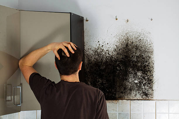 Best Local Mold Removal Service  in Fair Oaks, GA